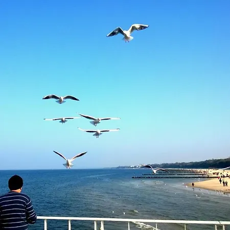 Apartman Turkusowe Kołobrzeg